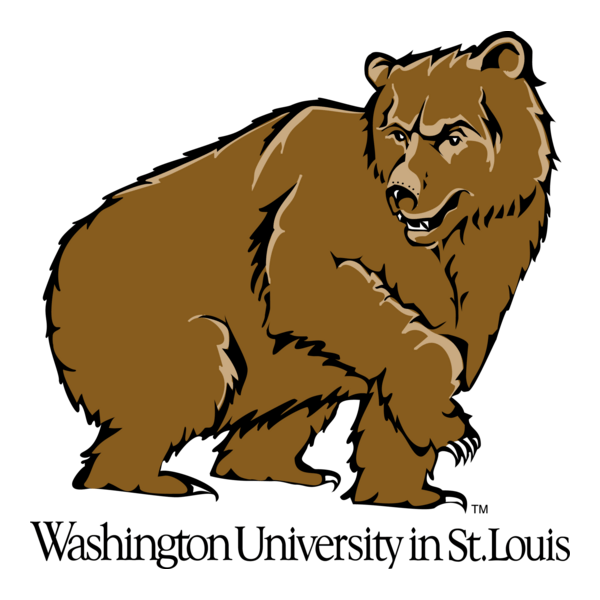 Washington Bears Logo PNG Vector