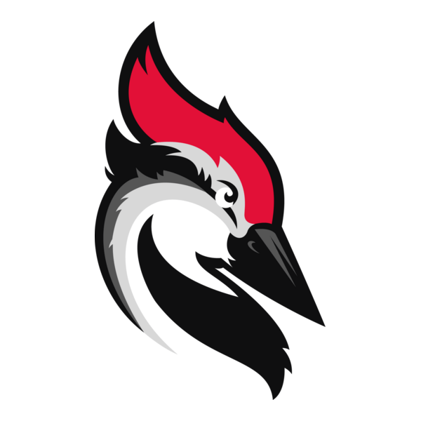 Woodpecker Logo PNG Vector