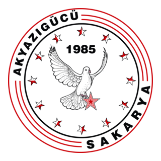 Akyazıgücü Logo PNG Vector