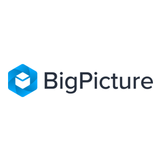 BigPicture Logo PNG Vector