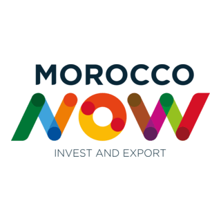 Morocco Now Logo PNG Vector