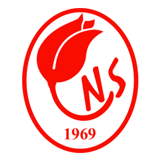 Nevşehirspor Logo PNG Vector