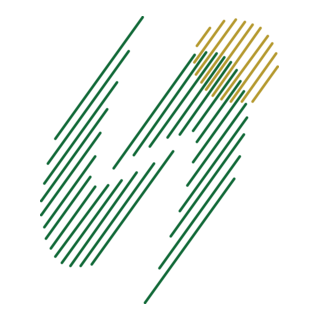 Santa Izabel Transporte e Turismo Logo PNG Vector