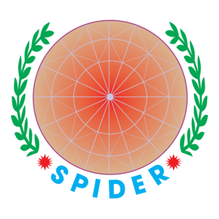 Spider Logo PNG Vector
