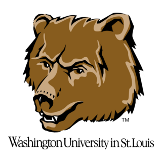 Washington Bears Logo PNG Vector