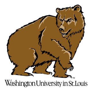 Washington Bears Logo PNG Vector