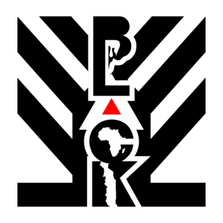 YYKvision Logo PNG Vector