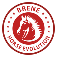Brene Horse Evolution Logo PNG Vector