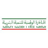 INDH (Tifinagh) Logo PNG Vector