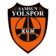 Samsun Yolspor Logo PNG Vector