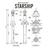 SpaceX Starship Logo PNG Vector