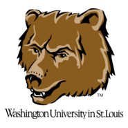 Washington Bears Logo PNG Vector