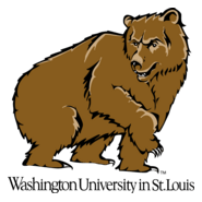Washington Bears Logo PNG Vector