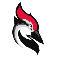 Woodpecker Logo PNG Vector