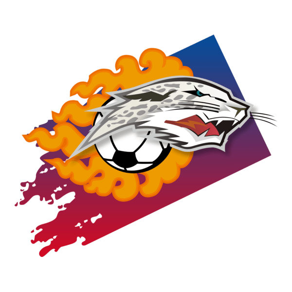 LHASA URBAN CONSTRUCTION INVESTMENT FOOTBALL CLUB Logo PNG Vector