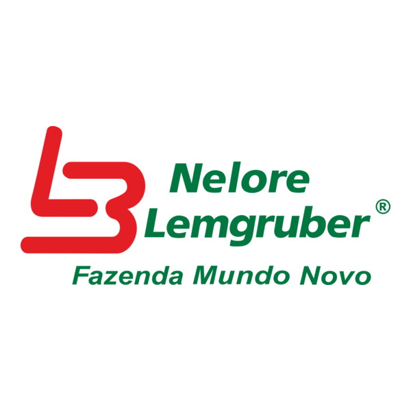 Nelore Lemgruber Logo PNG Vector