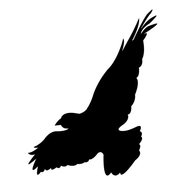 night´s watch Logo PNG Vector