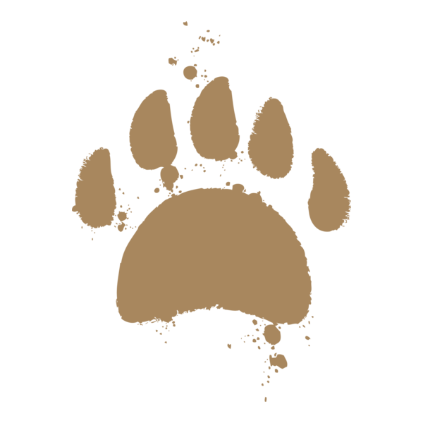 Scruffy Bear Pictures PAW Logo PNG Vector
