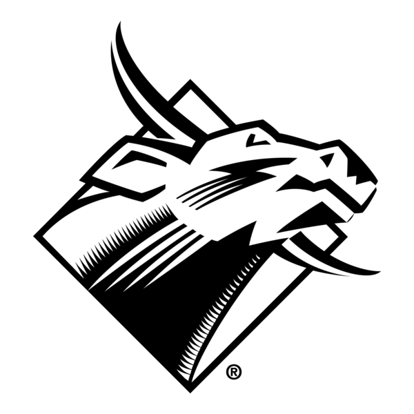 USF Bulls Logo PNG Vector