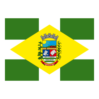 Bandeira de Wenceslau Braz - PR Logo PNG Vector