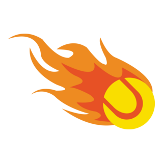 Fire Ball Logo PNG Vector