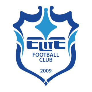 HEBEI KUNGFU FOOTBALL CLUB Logo PNG Vector