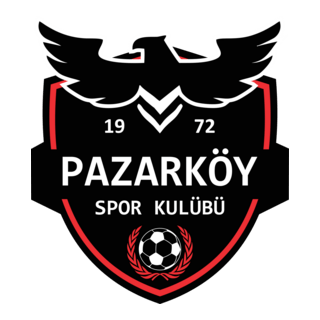 Pazarköyspor Logo PNG Vector