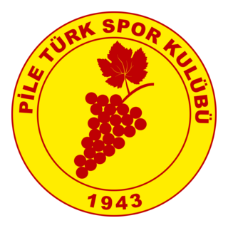 Pile Türk Spor Logo PNG Vector