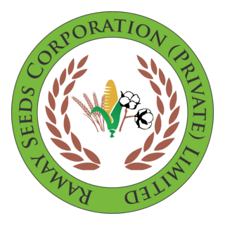 RAMAY SEEDS CORPORATION Logo PNG Vector