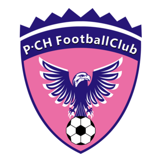 SHENZHEN PENGCHENG FOOTBALL CLUB Logo PNG Vector