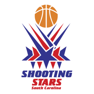 Shooting Stars Logo PNG Vector