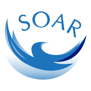 Soarcoin Logo PNG Vector