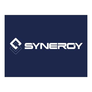 Synergy Logo PNG Vector