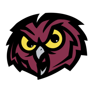 Temple Owls Logo PNG Vector