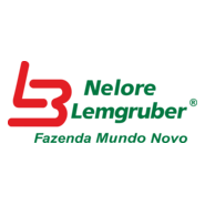 Nelore Lemgruber Logo PNG Vector