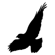 night´s watch Logo PNG Vector