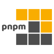 pnPM Logo PNG Vector