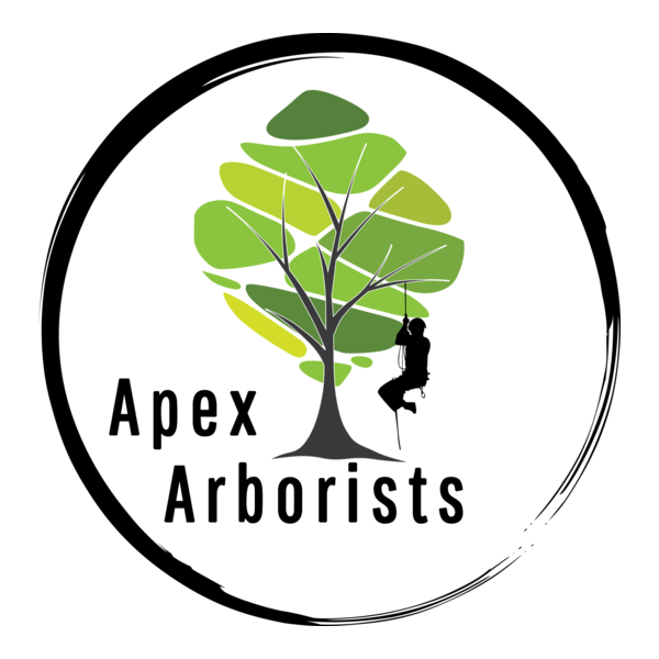 Apex Arborists Logo PNG Vector