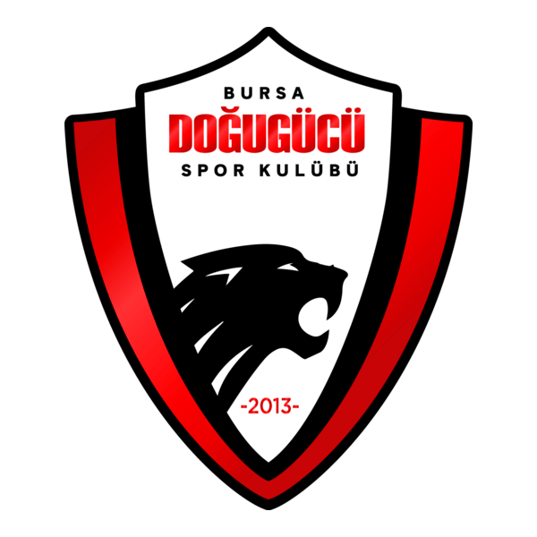 Bursa Doğugücü Logo PNG Vector