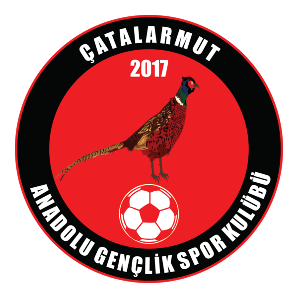 Çatalarmut Anadolu Gençlikspor Logo PNG Vector
