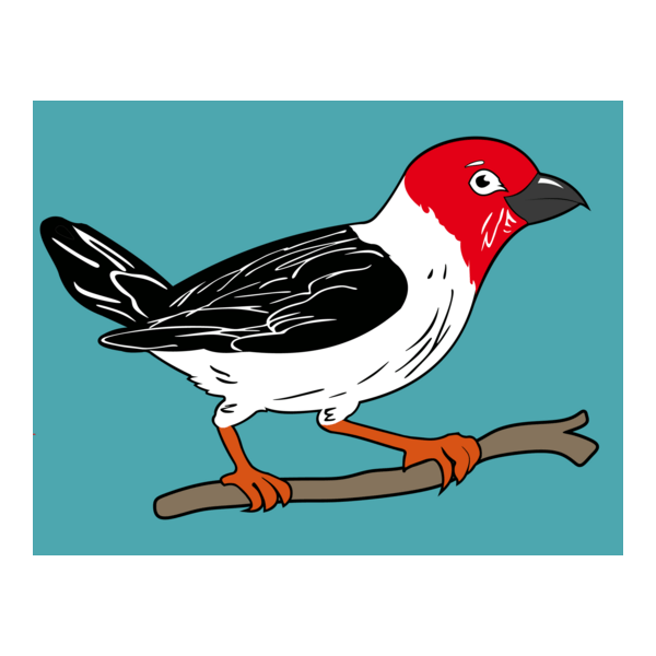 GALO DE CAMPINA Logo PNG Vector