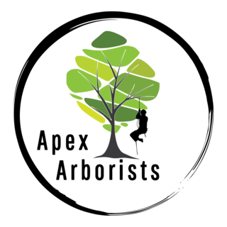 Apex Arborists Logo PNG Vector