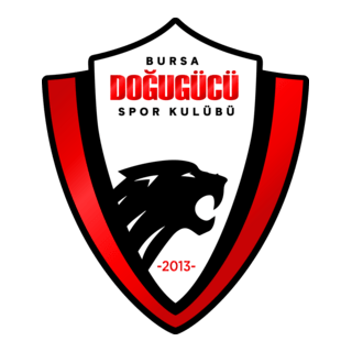 Bursa Doğugücü Logo PNG Vector