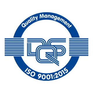 DQS ISO 9001 Logo PNG Vector