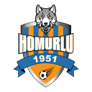 Homurlu 1951 Spor Logo PNG Vector