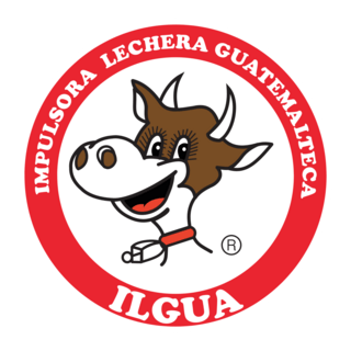 Ilgua Logo PNG Vector