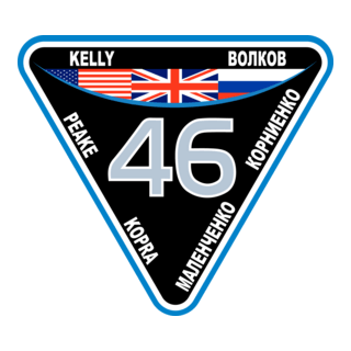 ISS Expedition 46 Logo PNG Vector