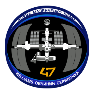 ISS Expedition 47 Logo PNG Vector