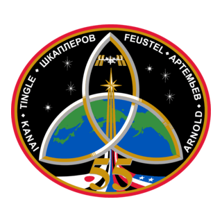 ISS Expedition 55 Logo PNG Vector