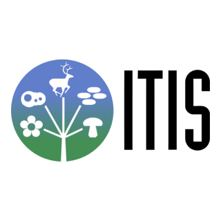 ITIS Integrated Taxonomic Information System Logo PNG Vector